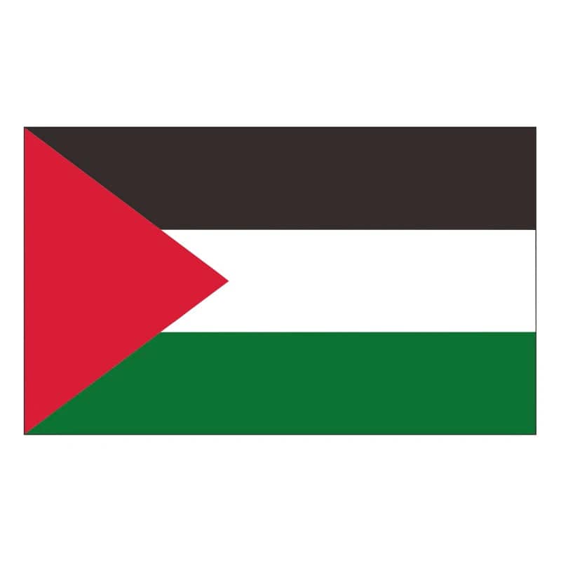 Autocollants drapeau Palestine – lot de 20