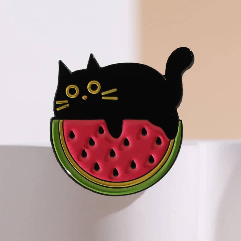 Pin's Palestine chat